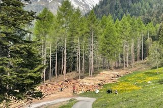 La revalorisation de l'alpage de Loutze